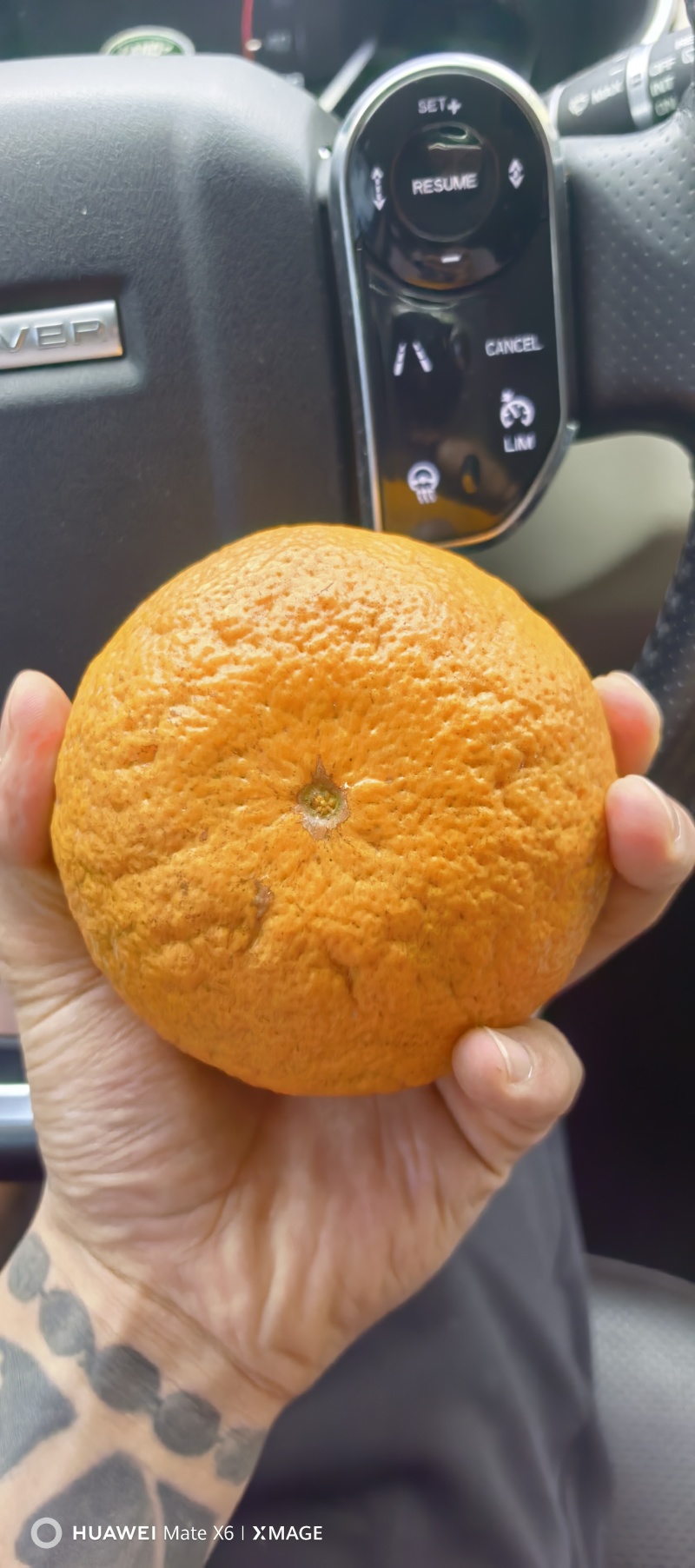 广西大果沃柑非常甜