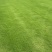 草坪四季常青草坪马尼拉百慕大