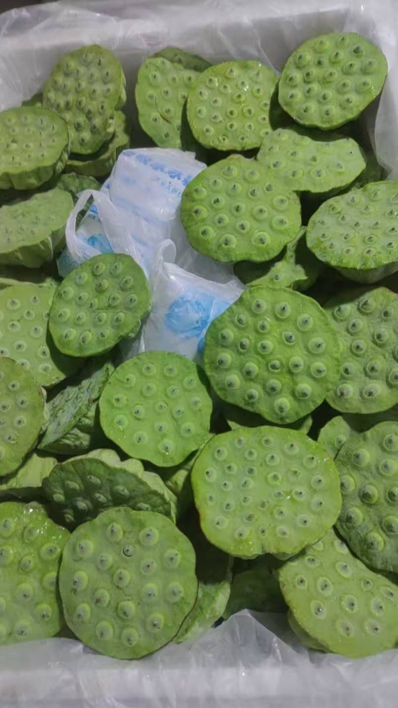 海南今年新出新鲜水果嫩莲蓬，基地直供全国各地