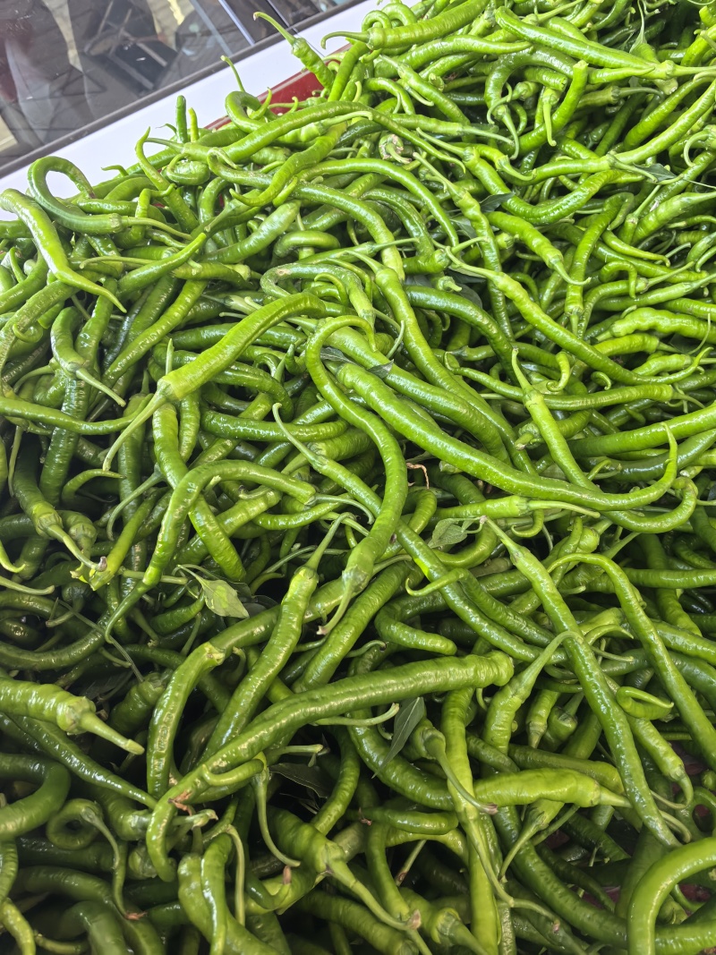 二青条