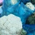 精品花菜，供市场，平台，电商，食堂。