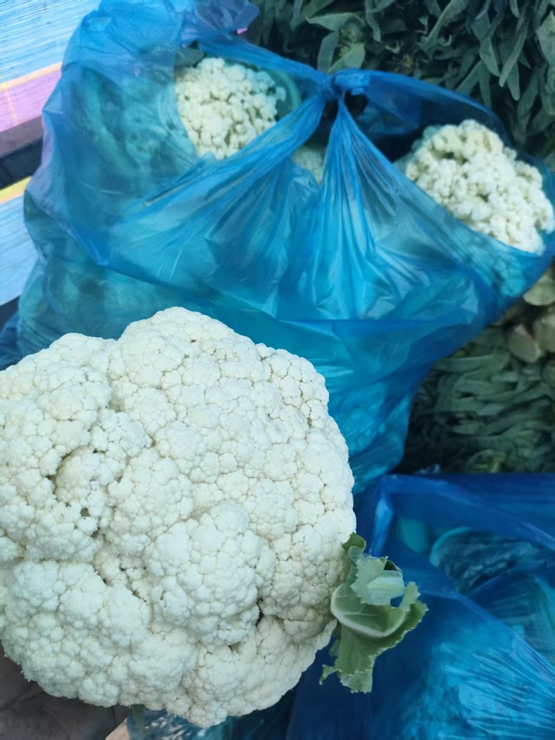 精品花菜，供市场，平台，电商，食堂。