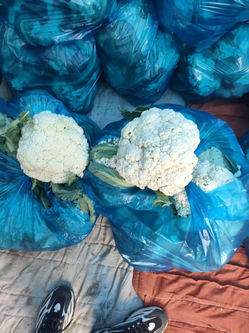 精品花菜，供市场，平台，电商，食堂。