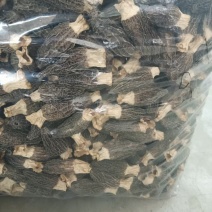 羊肚菌干货