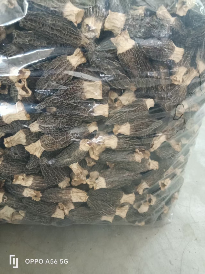 羊肚菌干货