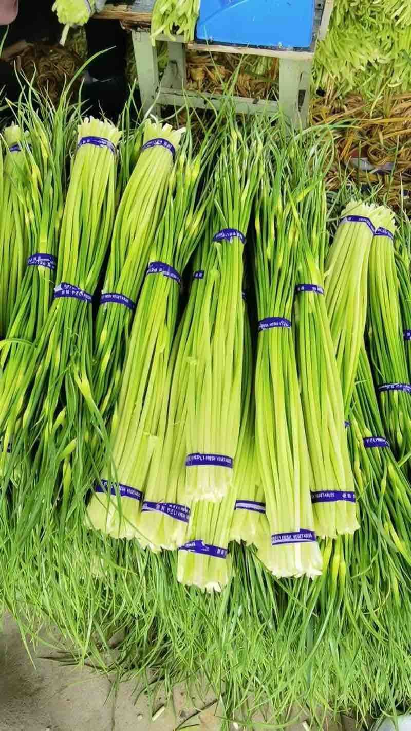 电商**:沂蒙山鲜蒜薹新鲜上市。**，电商，商超。几毛钱一斤