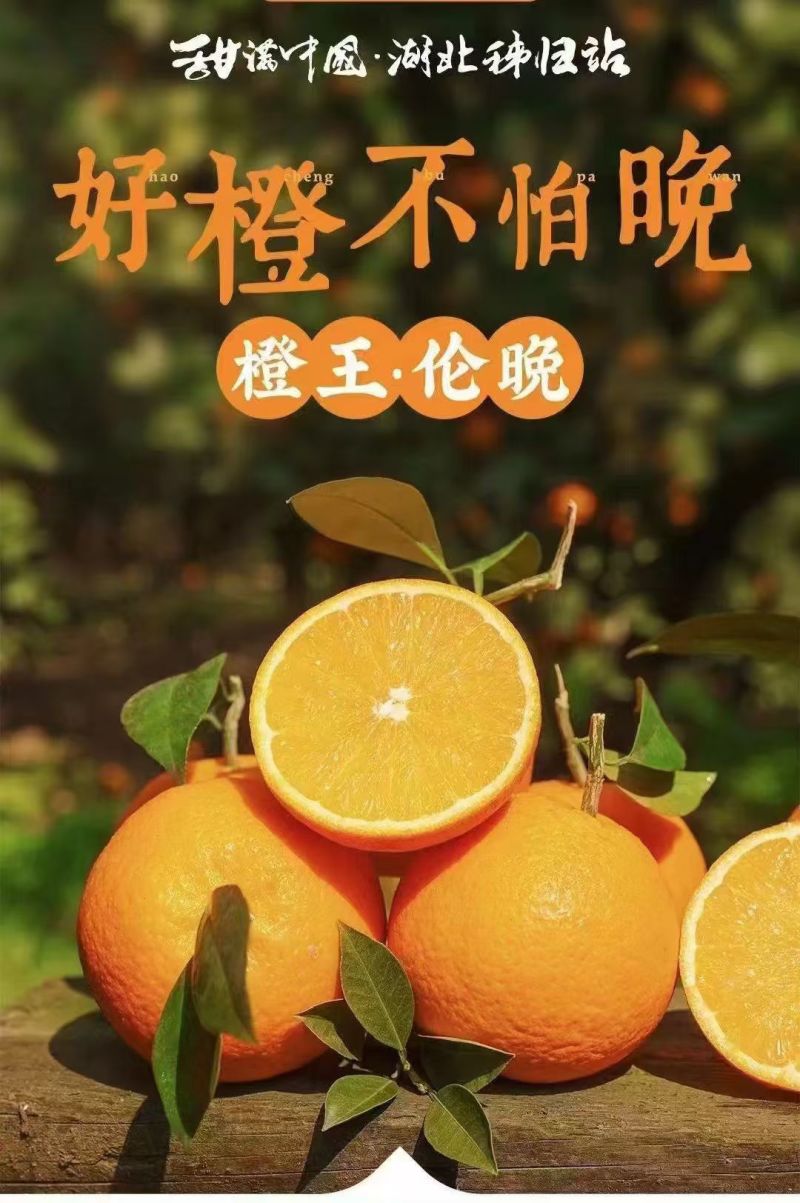 秭归伦晚