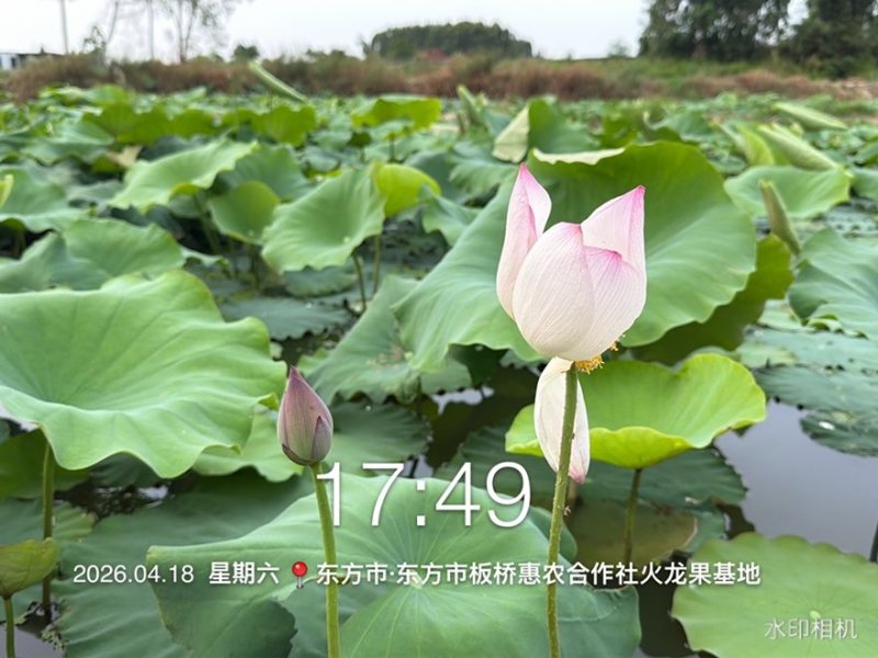 国内**批