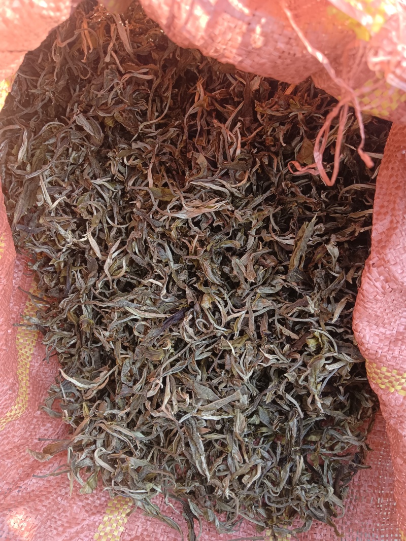 普洱茶