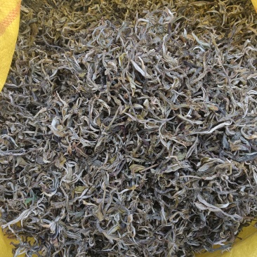 普洱茶