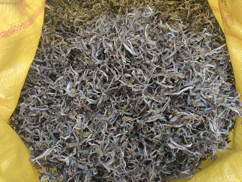 普洱茶