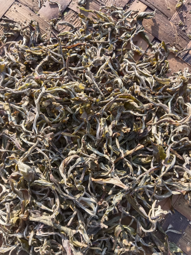普洱茶