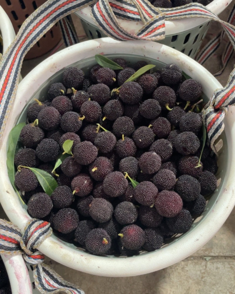 杨梅荸荠杨梅