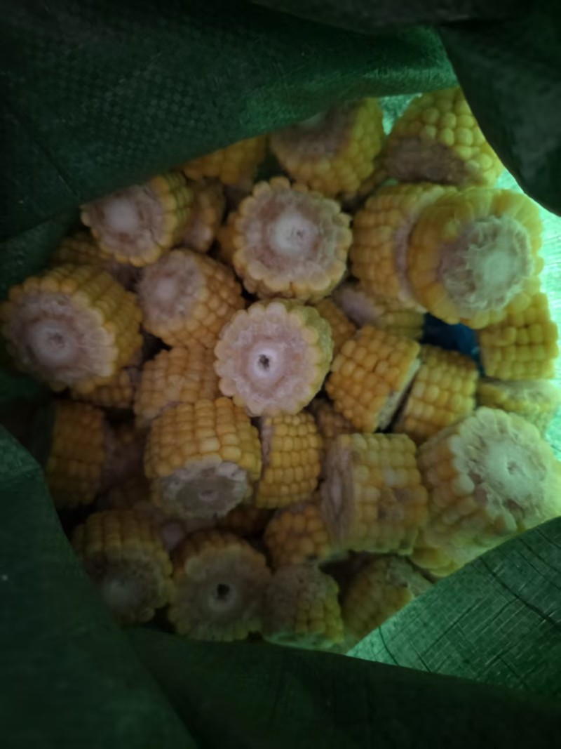 低价出玉米渣下脚料，可做饲料，价格可聊