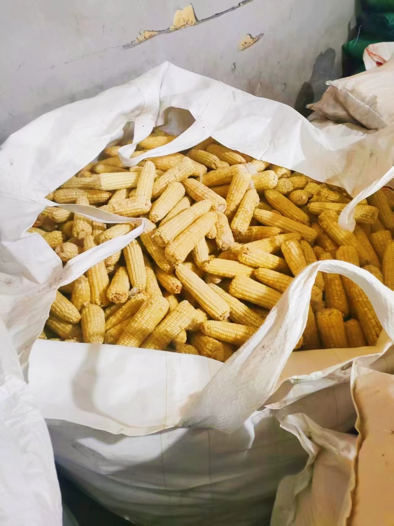 玉米原料，工厂货，低价出售，价格可聊