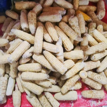 玉米原料，工厂货，低价出售，价格可聊