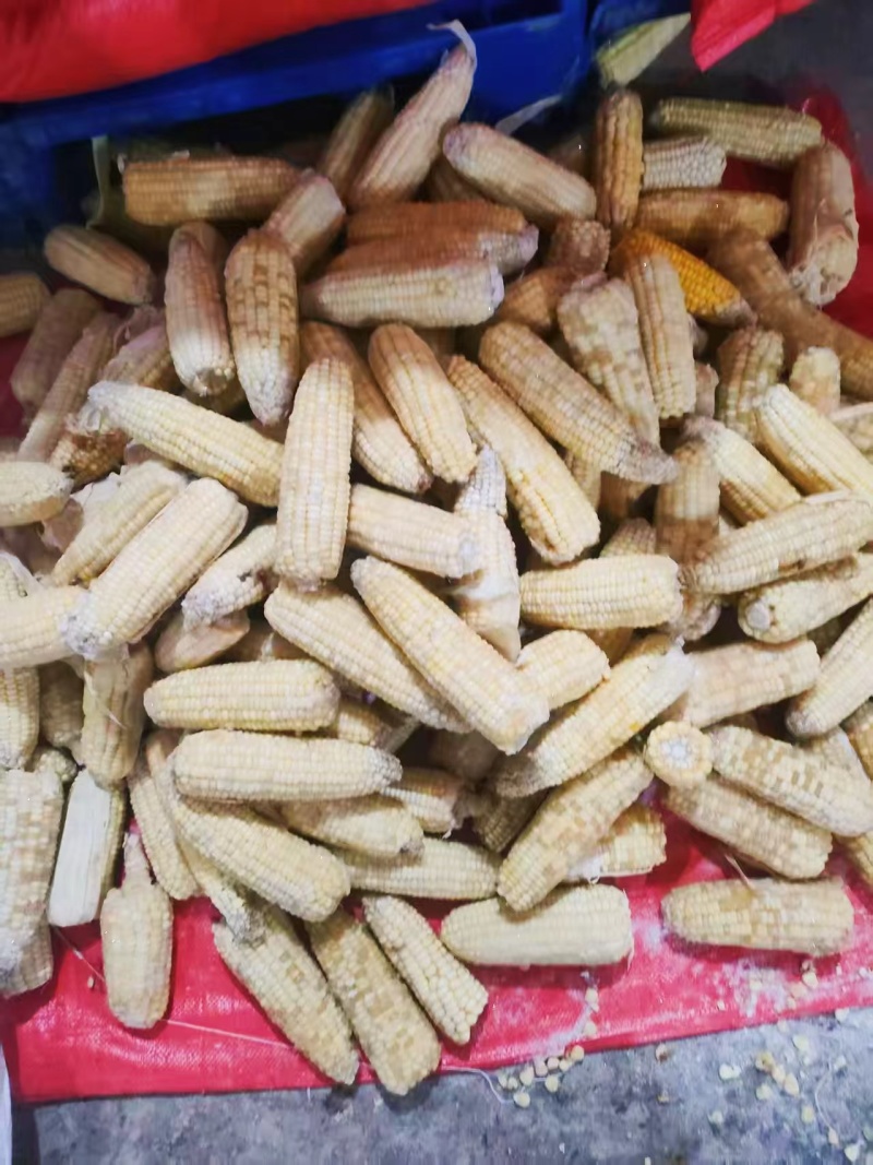 玉米原料，工厂货，低价出售，价格可聊