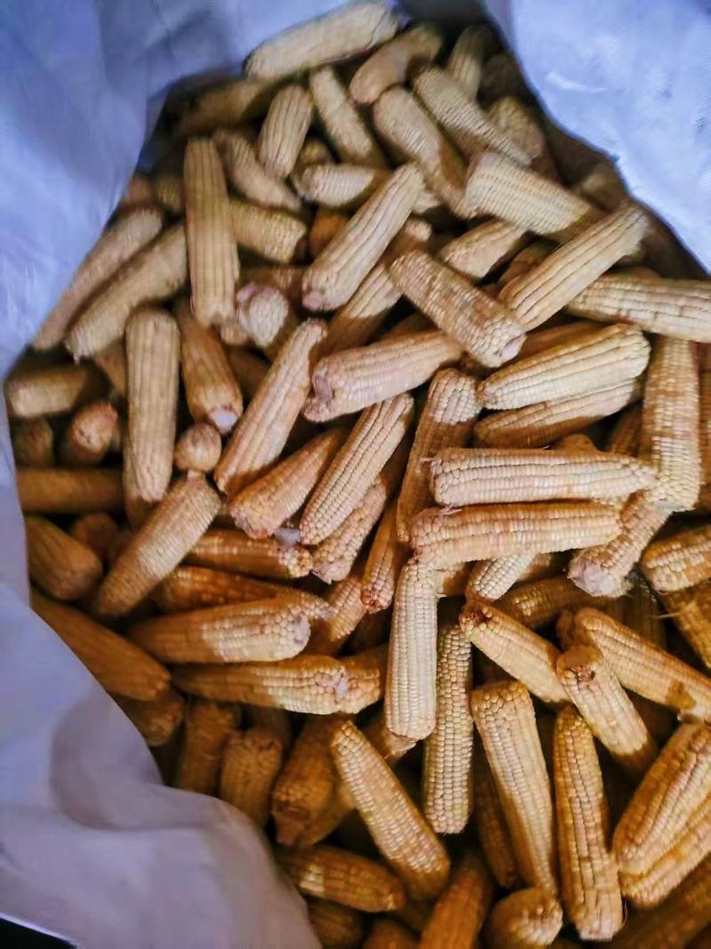 玉米原料，工厂货，低价出售，价格可聊
