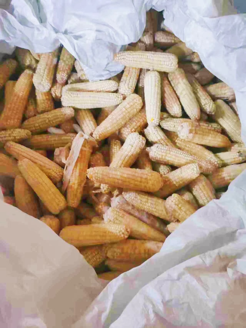 玉米原料，工厂货，低价出售，价格可聊