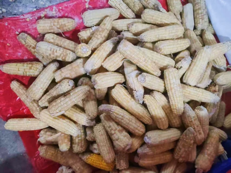 玉米原料，工厂货，低价出售，价格可聊