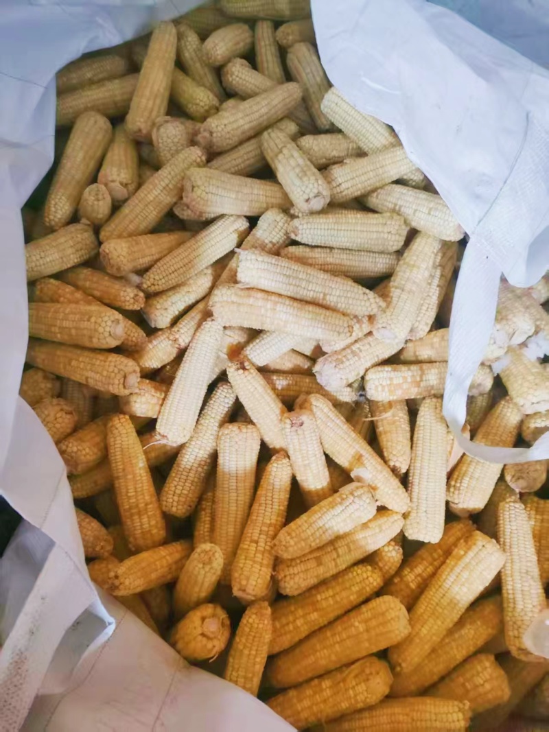 玉米原料，工厂货，低价出售，价格可聊