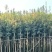 金丝楠木3-25分，基地直销，价格优惠，各种规格大量现货