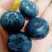 山东蓝莓