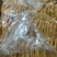 黄皮鸭掌现货新货工厂直发
