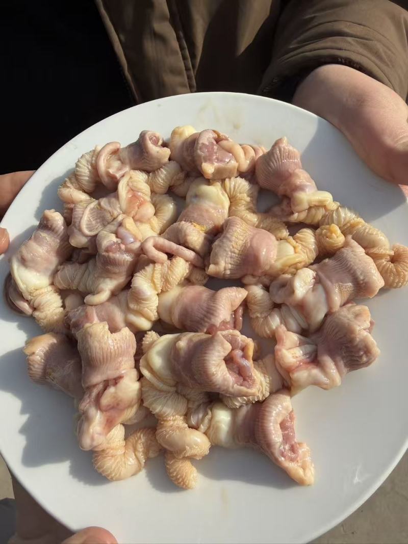 鸭鞭