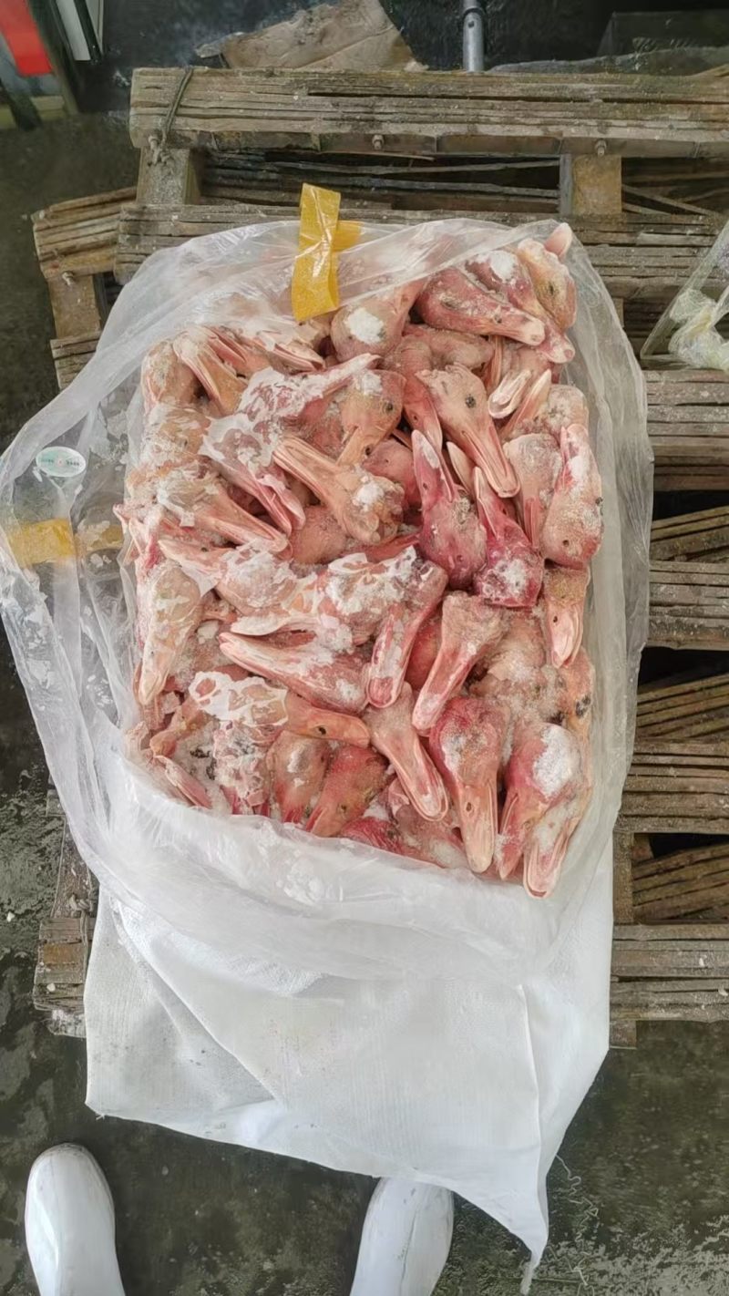 鸭头规格齐全一级二级大板鸭头工厂直发全国冷链物流发货量大从优