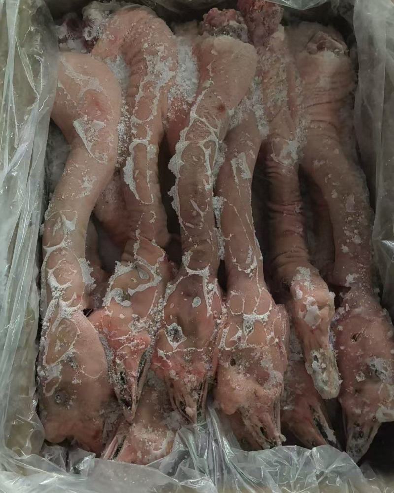 鹅头鹅头脖加工定制规格齐工厂直发全国冷链物流发货量大从优