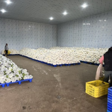 精品货整车发货整车发货