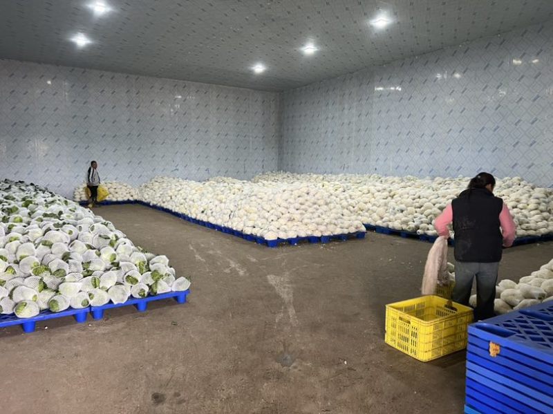 精品货整车发货整车发货