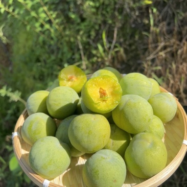 李子