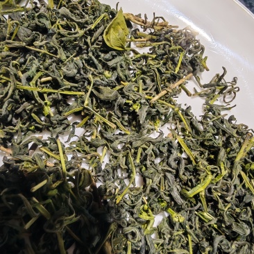 高山云雾绿茶，板栗香