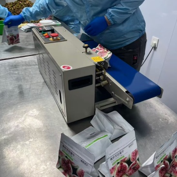威海特产无花果干