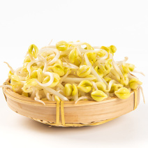 芽苗菜