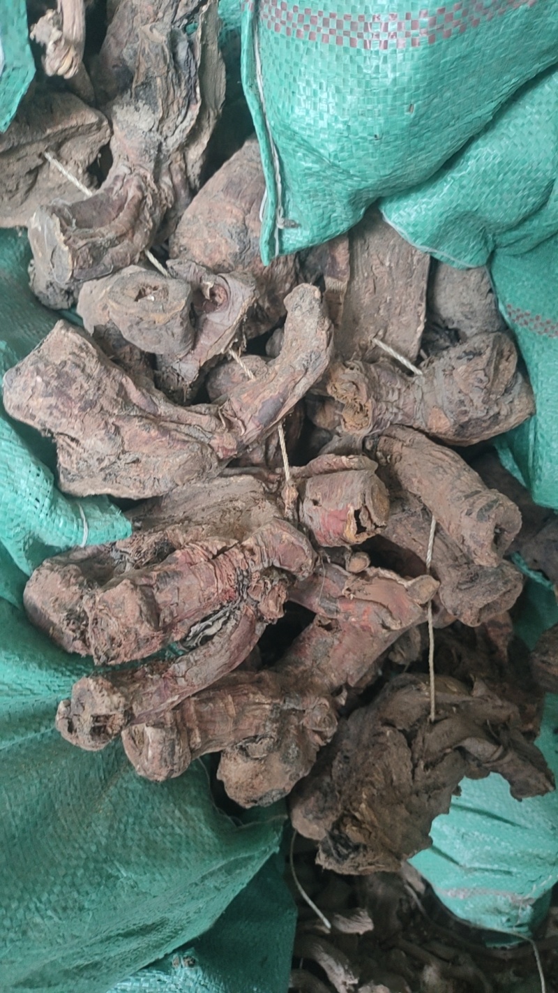 甘肃大黄产地直发规格齐全全国代发可视频看货欢迎致电