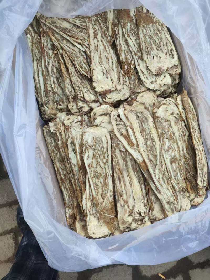 甘肃精品当归规格齐全全国发货可视频看货可协助找车
