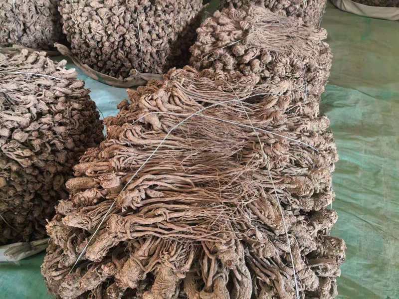 甘肃精品当归规格齐全全国发货可视频看货可协助找车
