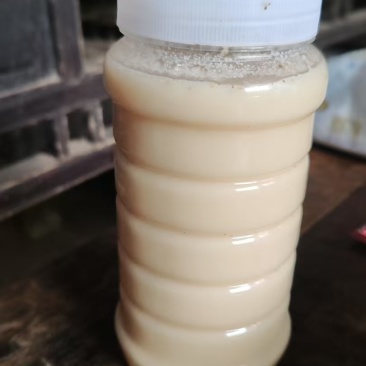 正宗遂宁市蓬溪县农家中蜂蜂蜜