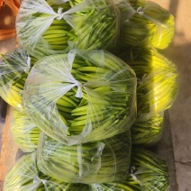 黄花菜