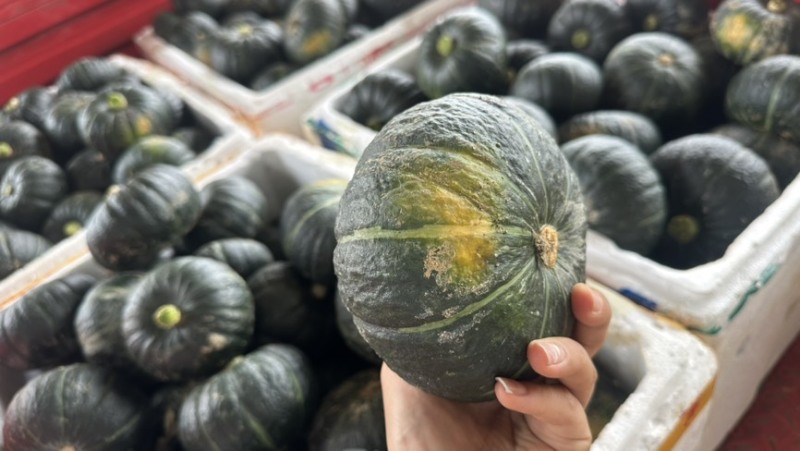 【正宗】贝贝南瓜板栗南瓜应季新鲜蔬菜甜糯南瓜精选头茬靓瓜