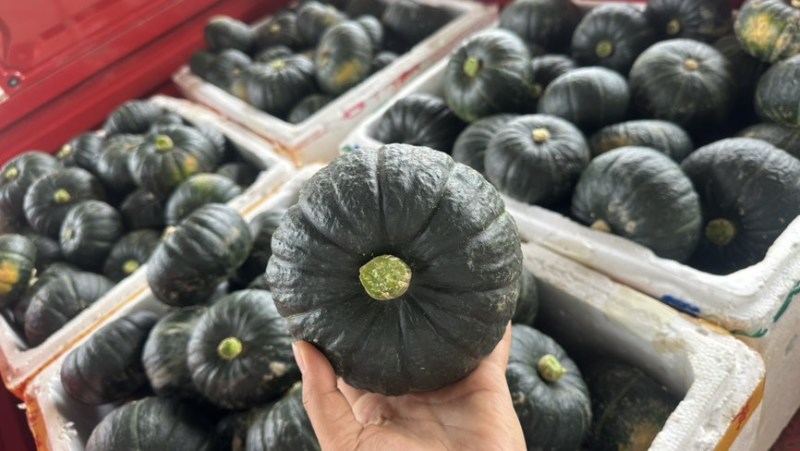 【正宗】贝贝南瓜板栗南瓜应季新鲜蔬菜甜糯南瓜精选头茬靓瓜