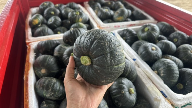 【正宗】贝贝南瓜板栗南瓜应季新鲜蔬菜甜糯南瓜精选头茬靓瓜