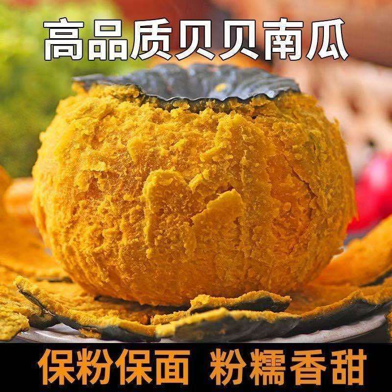 【正宗】贝贝南瓜板栗南瓜应季新鲜蔬菜甜糯南瓜精选头茬靓瓜