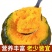 【正宗】贝贝南瓜板栗南瓜应季新鲜蔬菜甜糯南瓜精选头茬靓瓜