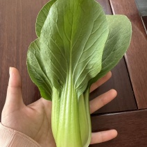 小油菜