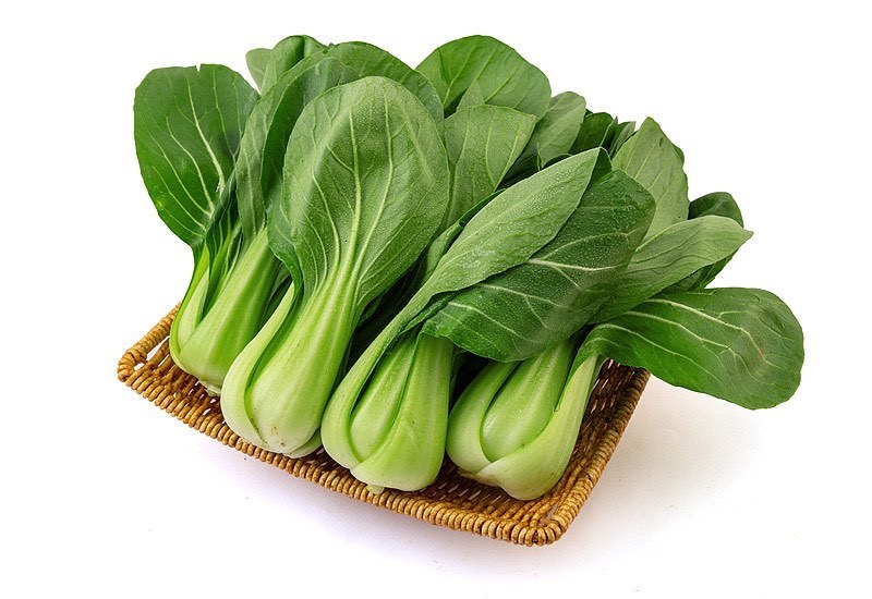 小油菜