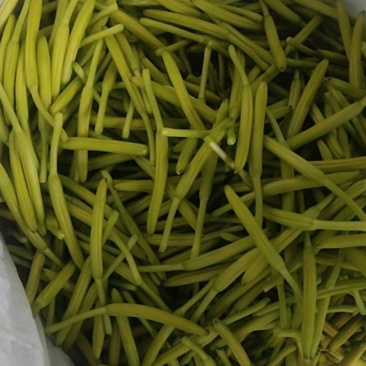 鲜品黄花菜